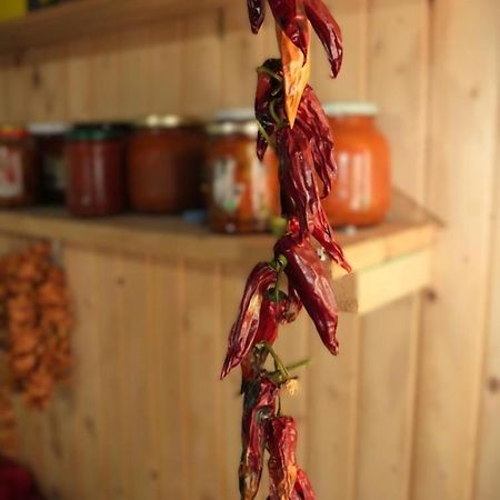 Guesthouse Shtini Fshat 外观 照片